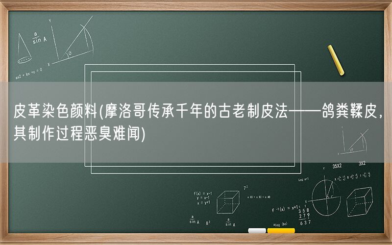 皮革染色颜料(摩洛哥传承千年的古老制皮法——鸽粪鞣皮，其制作过程恶臭难闻)(图1)