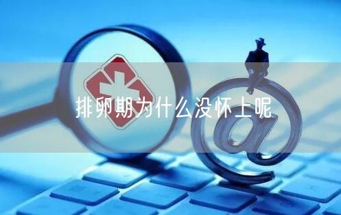 排卵期为什么没怀上呢(图1)