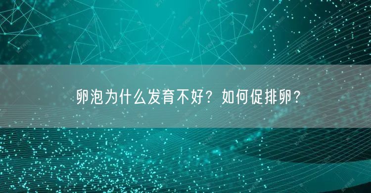 卵泡为什么发育不好？如何促排卵？(图1)